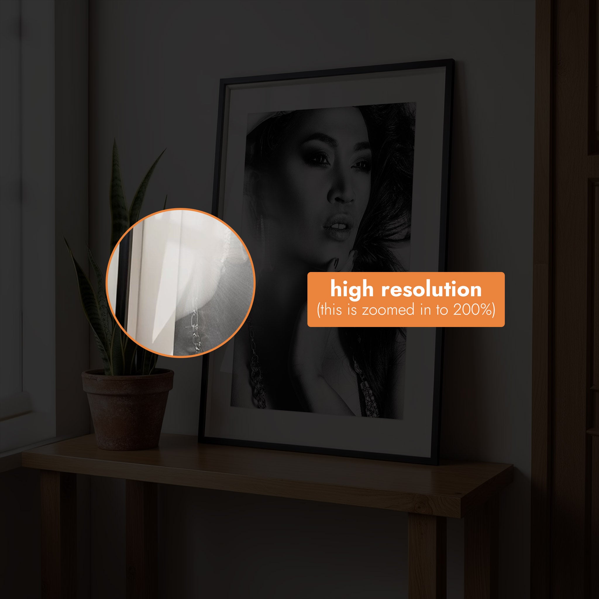 Framed portrait on a shelf with a plant, in a dark room [Proof & Grain]