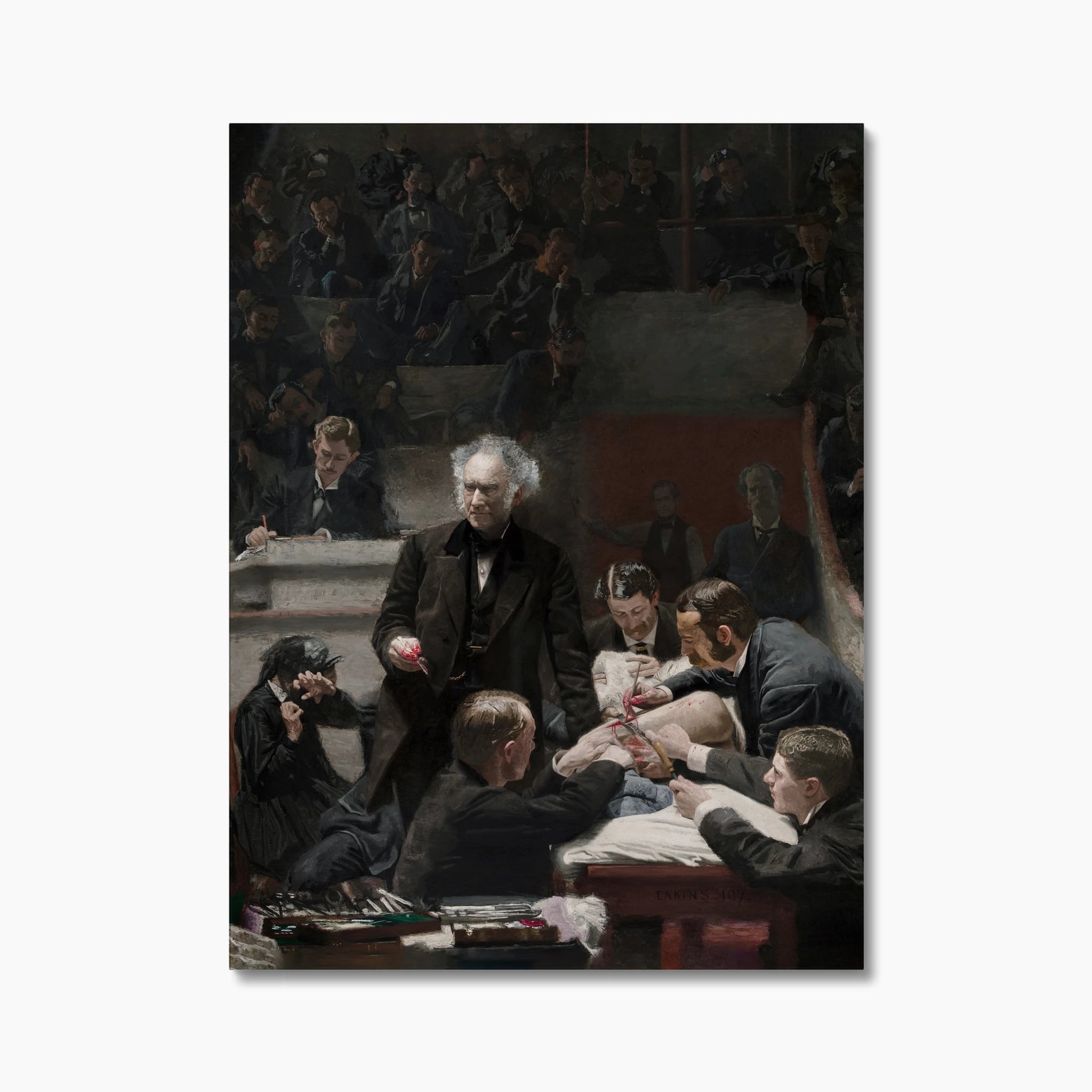 The Gross Clinic (1875)
