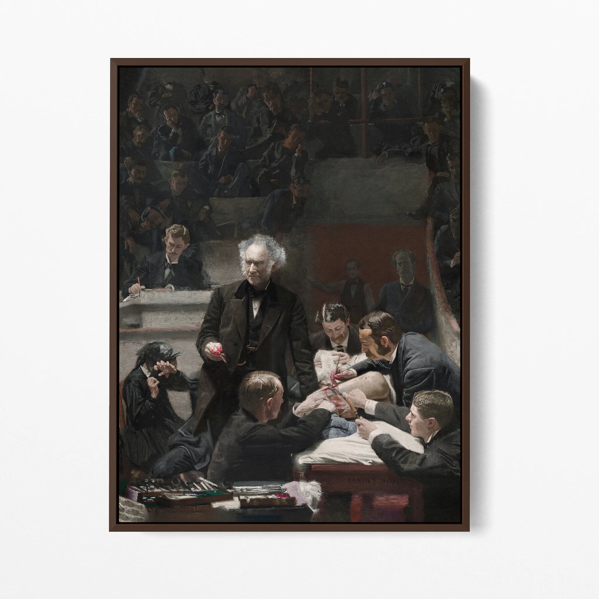 The Gross Clinic (1875)